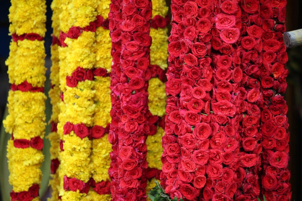 fiori e rose del Kerala